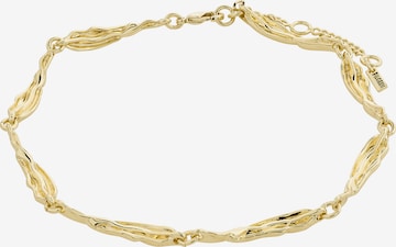 PilgrimNakit za stopala 'Arif' - zlatna boja: prednji dio