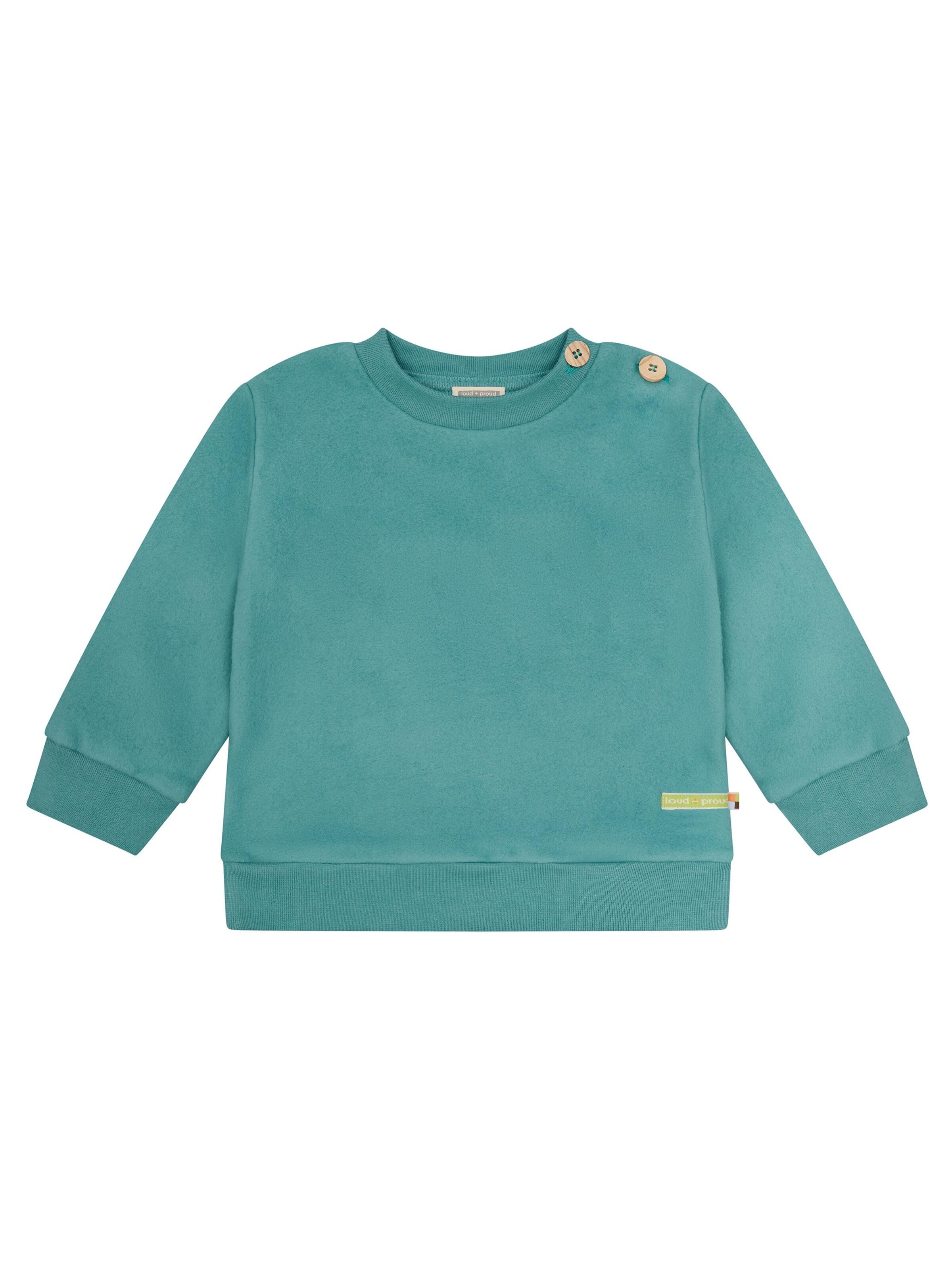 loud + proud Pullover‌‌‌‌‌ in Grün: Vorderseite