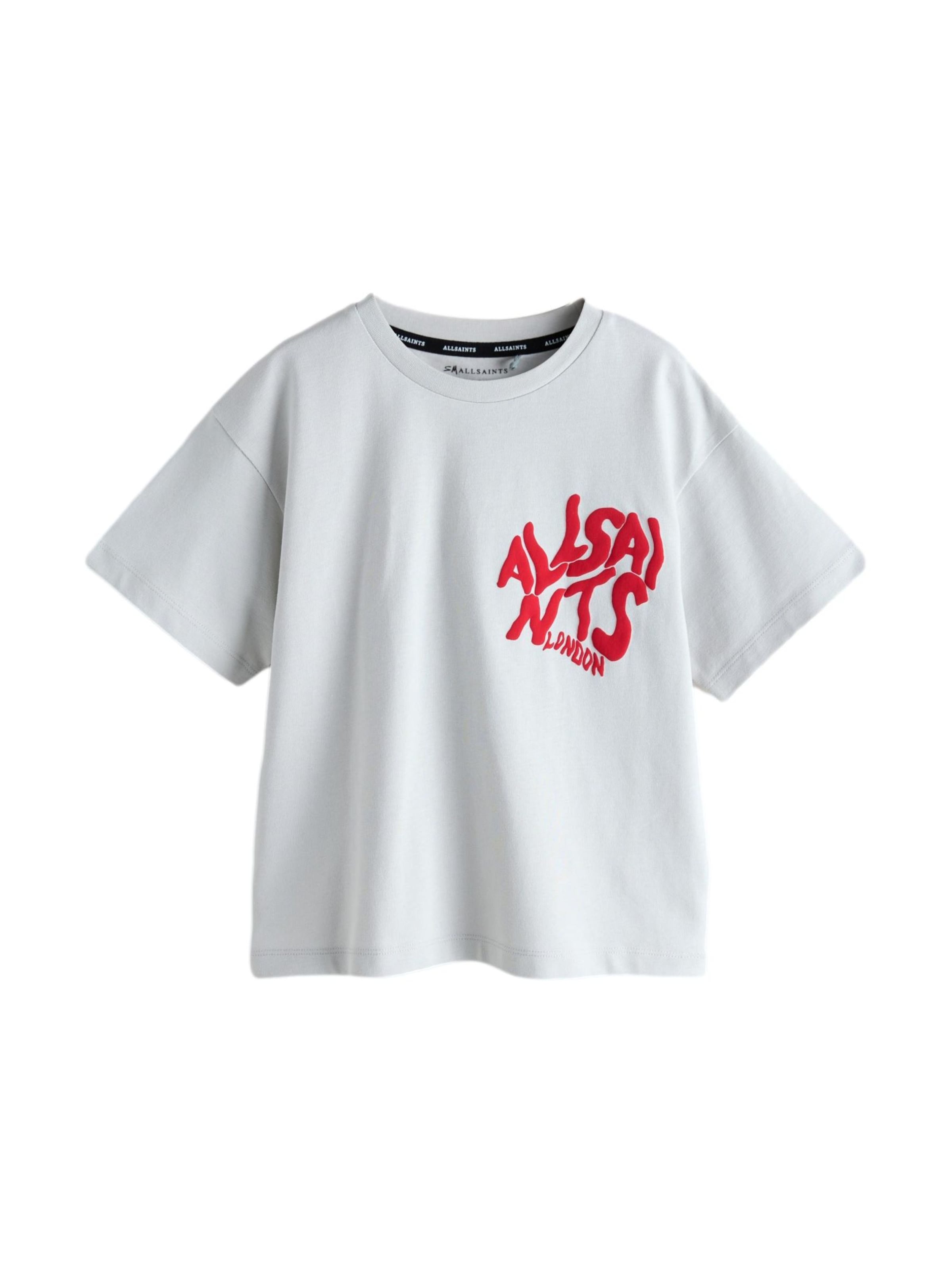 smALLSAINTS T-shirt 'Orlando' i grå: framsida