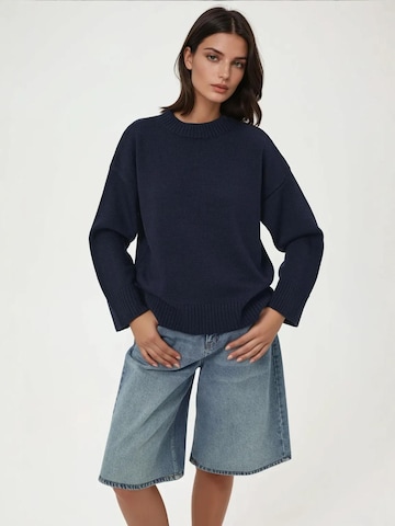 Hiccup - Pullover em azul: frente