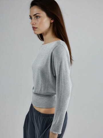 Pull-over Busem en gris