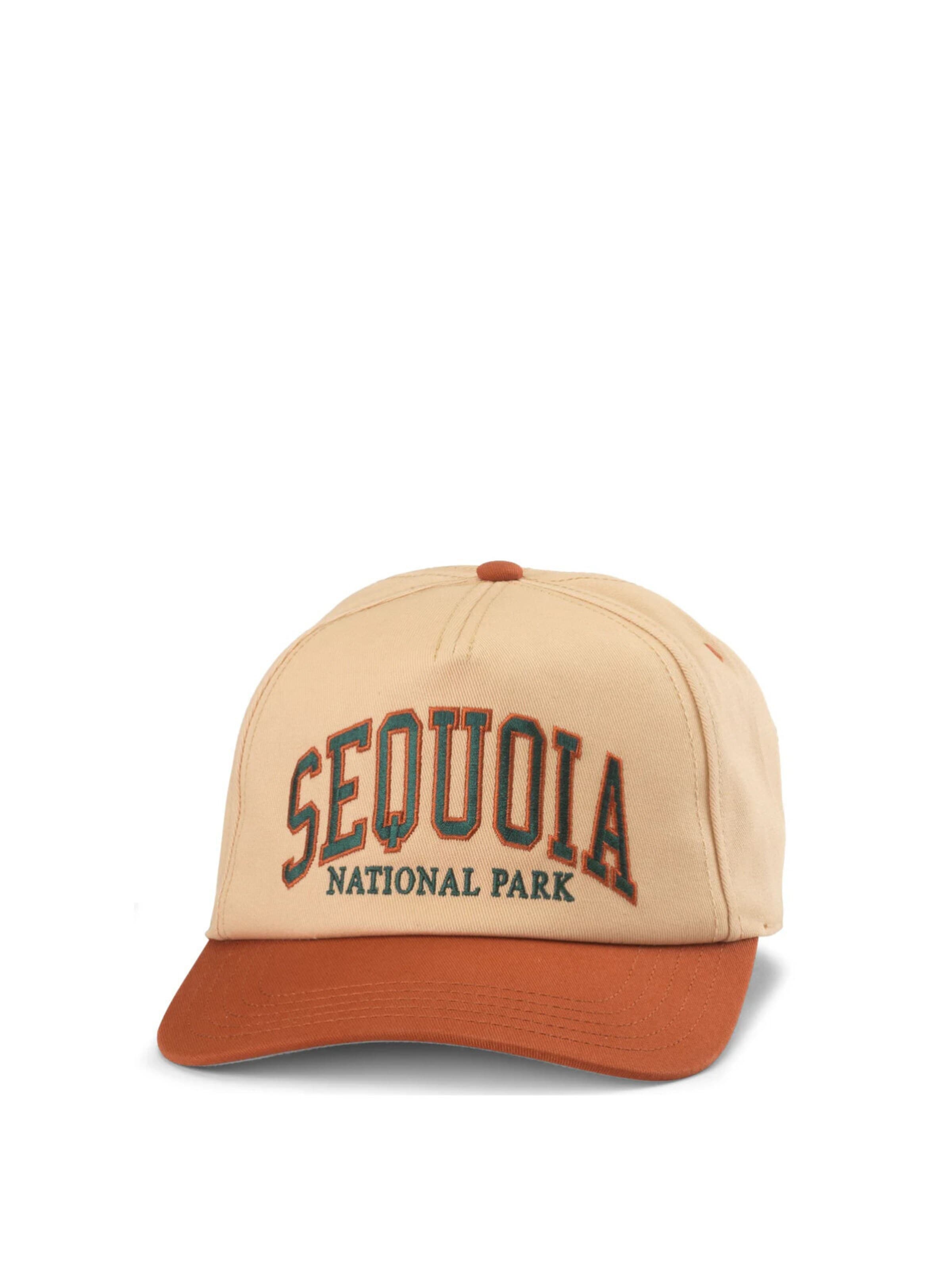 American Needle Cap in Beige: front