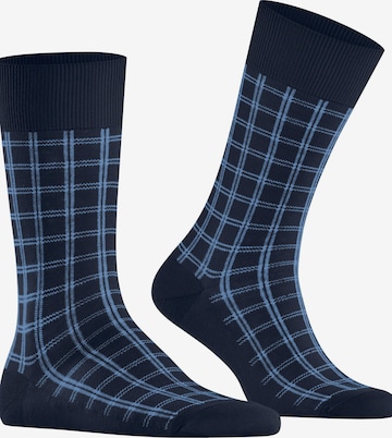 FALKE Modern Tailor in Blau: Vorderseite