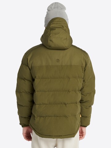 TIMBERLAND Winterjas in Groen