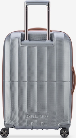 Delsey Paris Suitcase Set in Silver