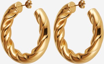 Karolina Kurkova Originals Earrings 'Arven' in Gold