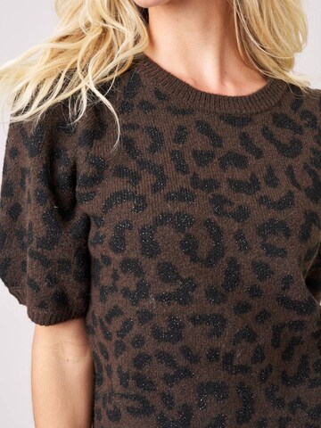 Deeluxe Pullover‌‌‌ in Braun