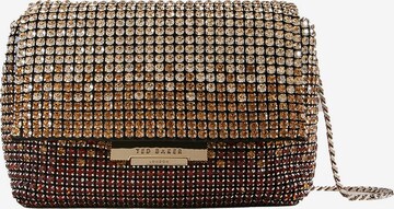 Ted Baker Crossbody Bag 'Gliters' in Brown: front