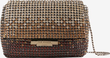 Ted Baker Crossbody Bag 'Gliters' in Brown: front