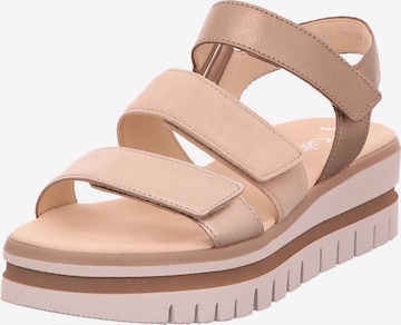 GABOR Riemensandale in Beige: Vorderseite
