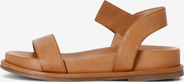 Sandalo di CAFè NOIR in marrone: frontale