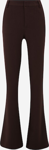 OBJECT Tall - Acampanado Pantalón 'MISA' en marrón: frente