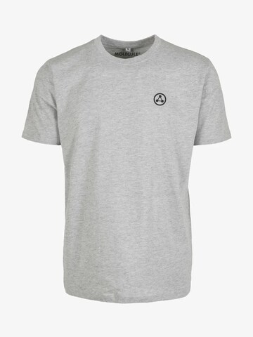 Molecule Bluser & t-shirts 'Small Logo' i grå
