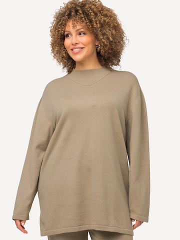 Ulla Popken Pullover in Braun: predná strana