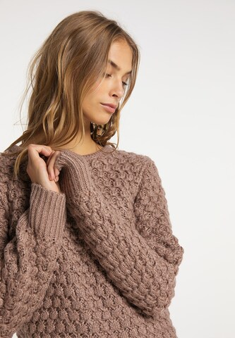 IZIA Sweater in Brown