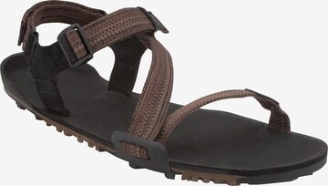 Xero Shoes Sandals 'Z-Trail EV' in Brown: front