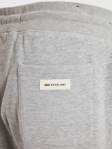 Funky Buddha Дънки Tapered Leg Панталон в сиво