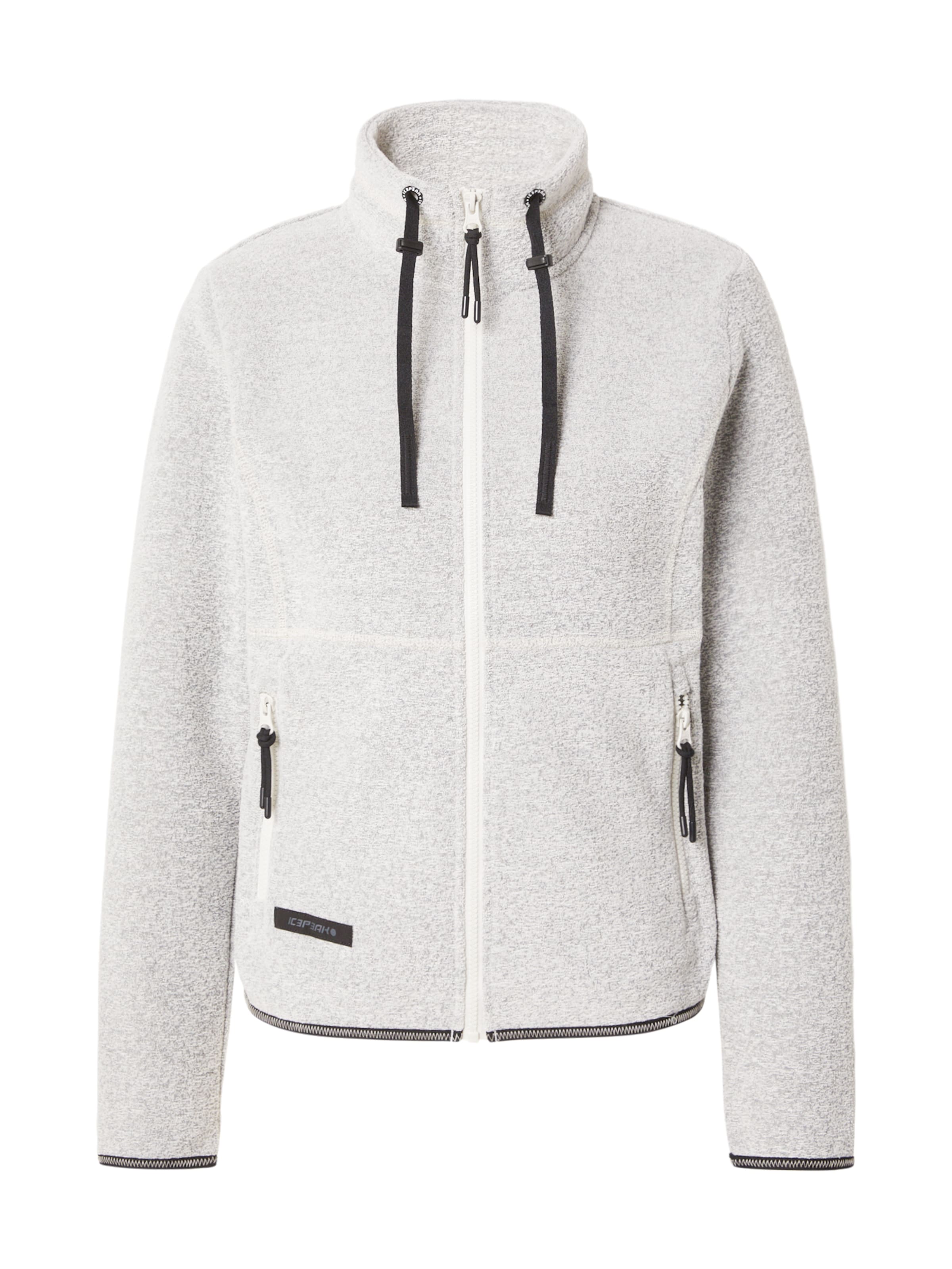 ICEPEAK Функциональная флисовая куртка 'ALMOND' в Серый: спереди