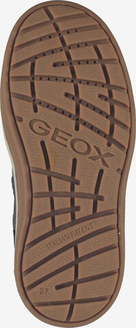 GEOX Sneakers in Blue