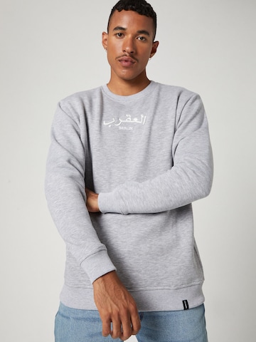 VIERVIER Sweatshirt 'Joey' i grå