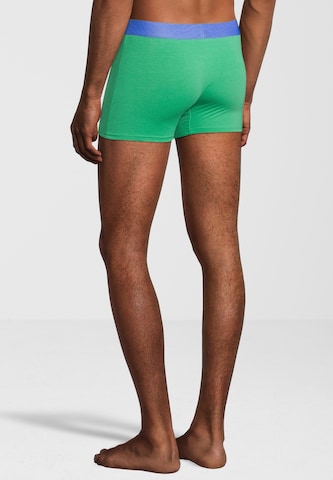 Boxers U.S. POLO ASSN. en vert