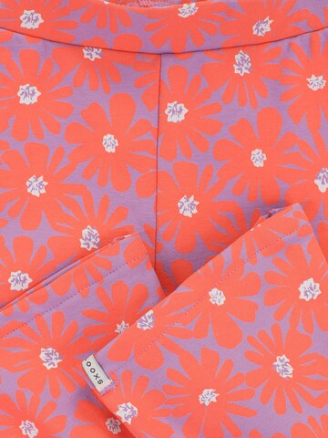 Looxs Revolution Flared Trousers in Orange