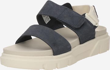 Sandale 'GREYFIELD' de la TIMBERLAND pe albastru: față