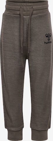 Hummel Hose in Braun: Vorderseite