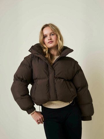 Cartel Copenhagen Winter jacket ' Alpine ' in Braun: Vorderseite