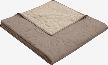 MY HOME Blankets in Beige: front