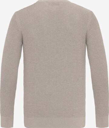 DENIM CULTURE Pullover 'ALJAMAIN' in Braun