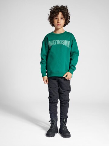 SOMETIME SOON Sweatshirt 'Winters' i grøn