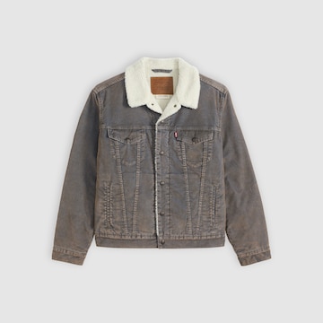 LEVI'S ® Between-season jacket 'TYPE 3' in Brown
