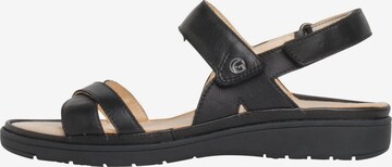 Ganter Strap Sandals in Black