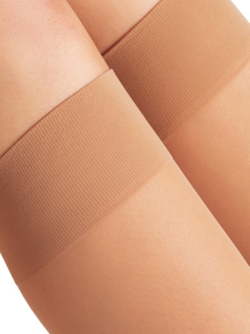 FALKE Overknee Strümpfe 'Matt Deluxe'‌‌‌‌‌‌‌‌‌‌ in Pink
