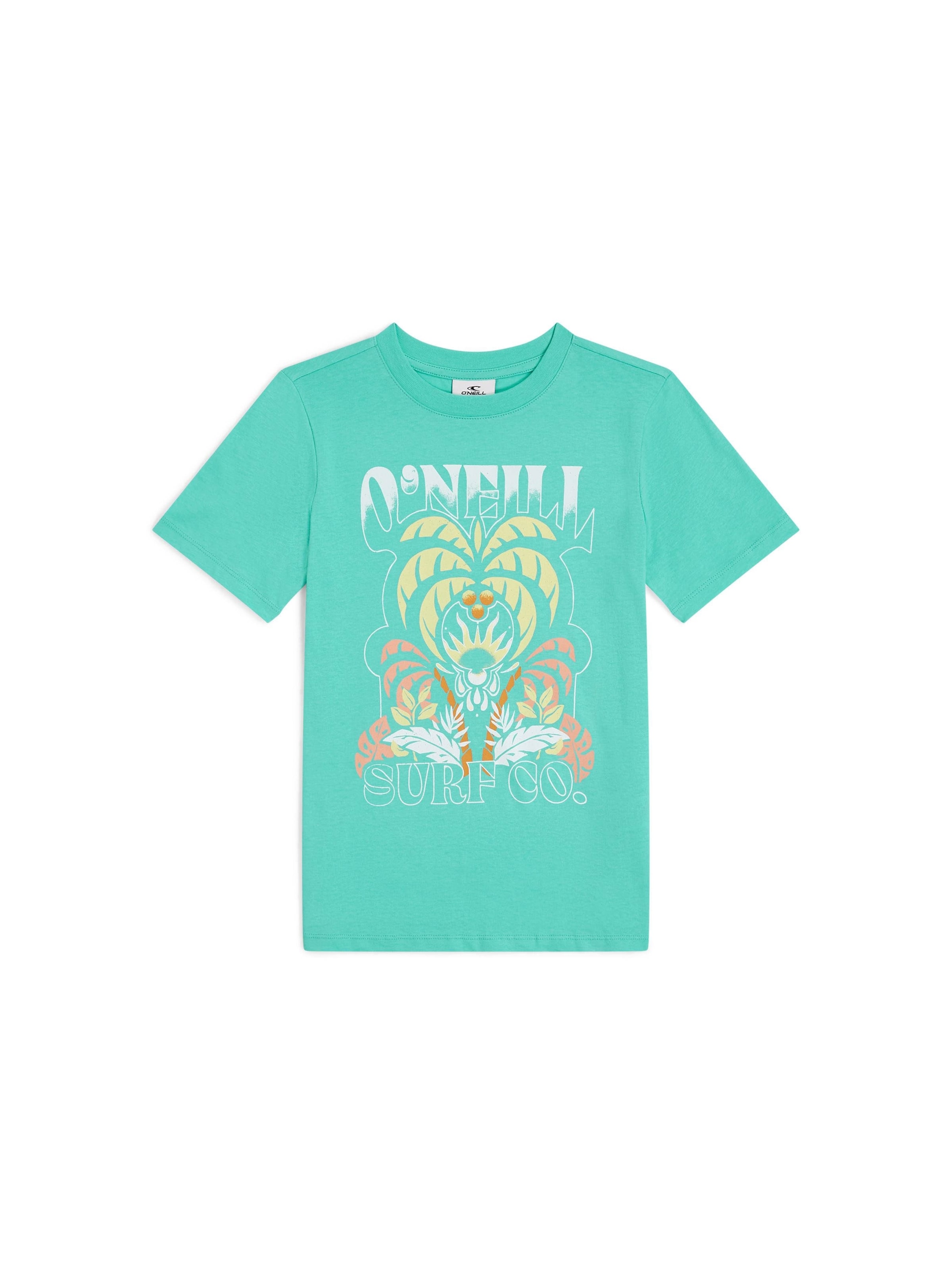 O'NEILL Футболка в Синий: спереди