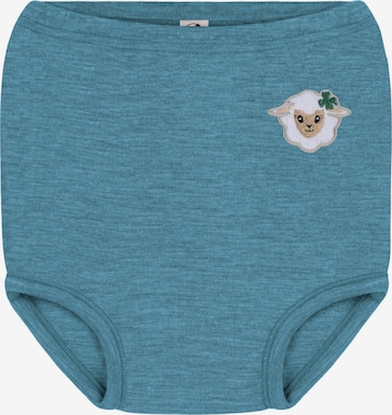 normani Onderbroek 'Tokoroa' in Blauw: voorkant