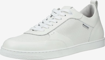 Baskets basses Nero Giardini en blanc : devant