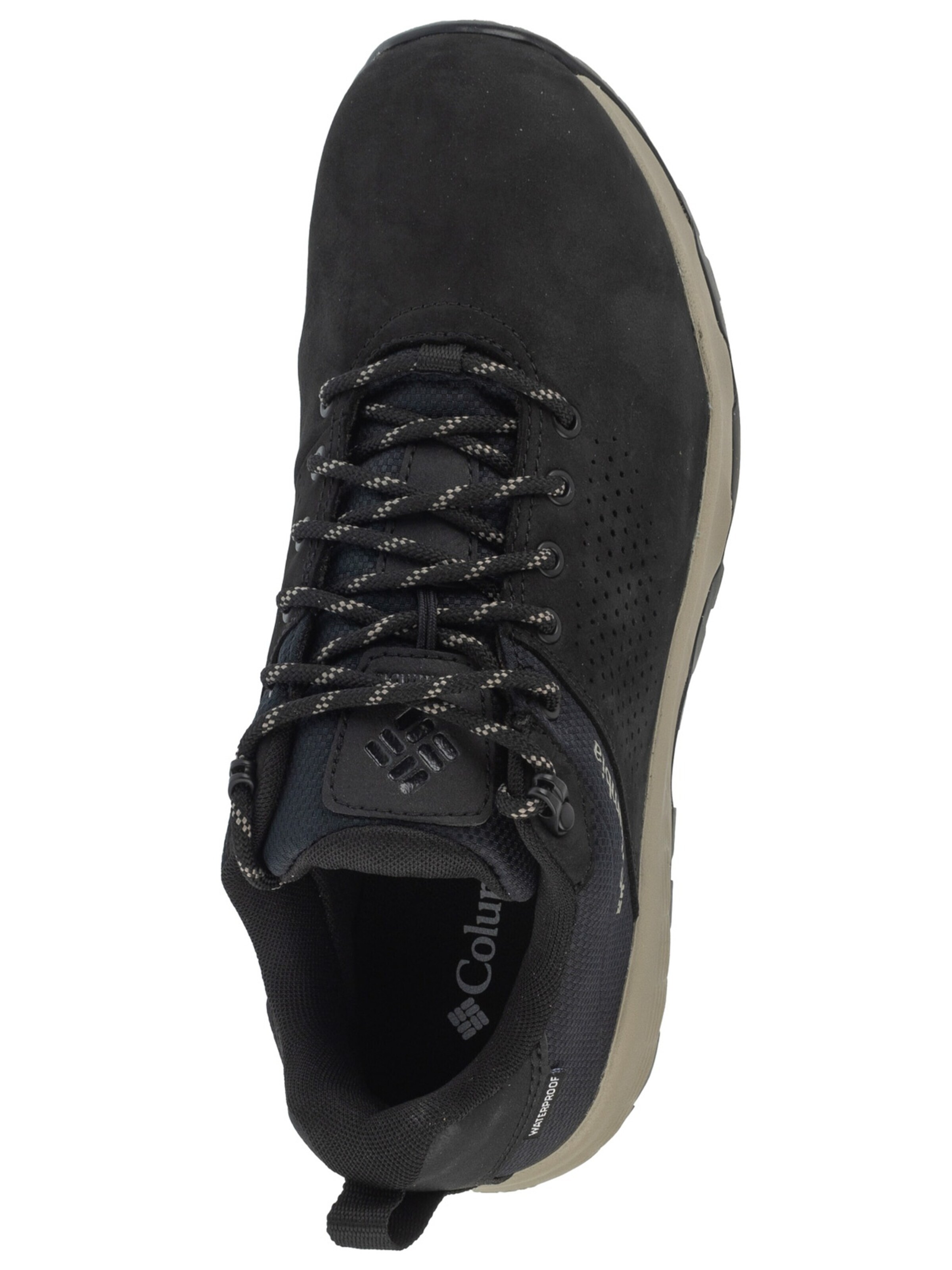 COLUMBIA Low shoe 'Columbia Newton Nimble Ltr' in Black