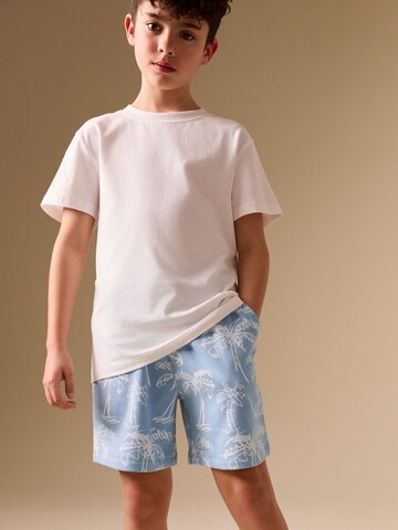 Next Loose fit Pants in Blue: front