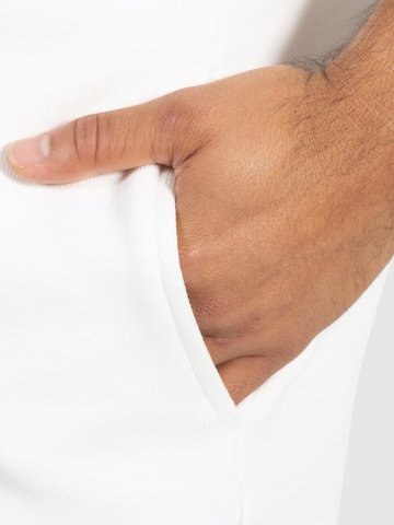 Regular Pantalon de sport ' Chaise ' Smilodox en beige