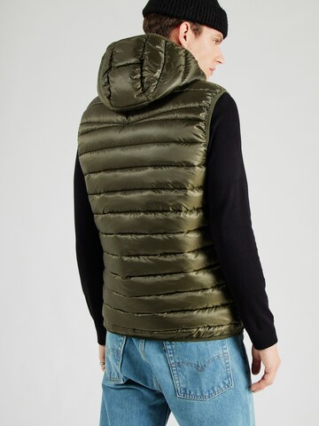 BLEND Bodywarmer in Groen