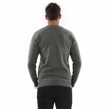 Pull-over U.S. POLO ASSN. en gris