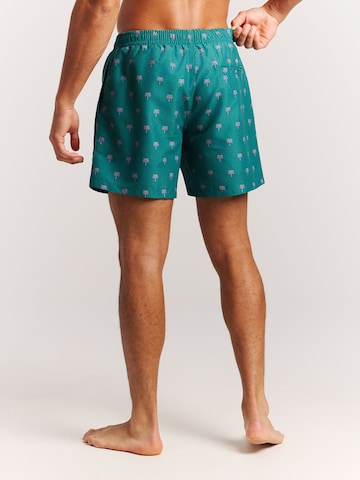 PROTEST Board Shorts 'PRTMascot' in Green