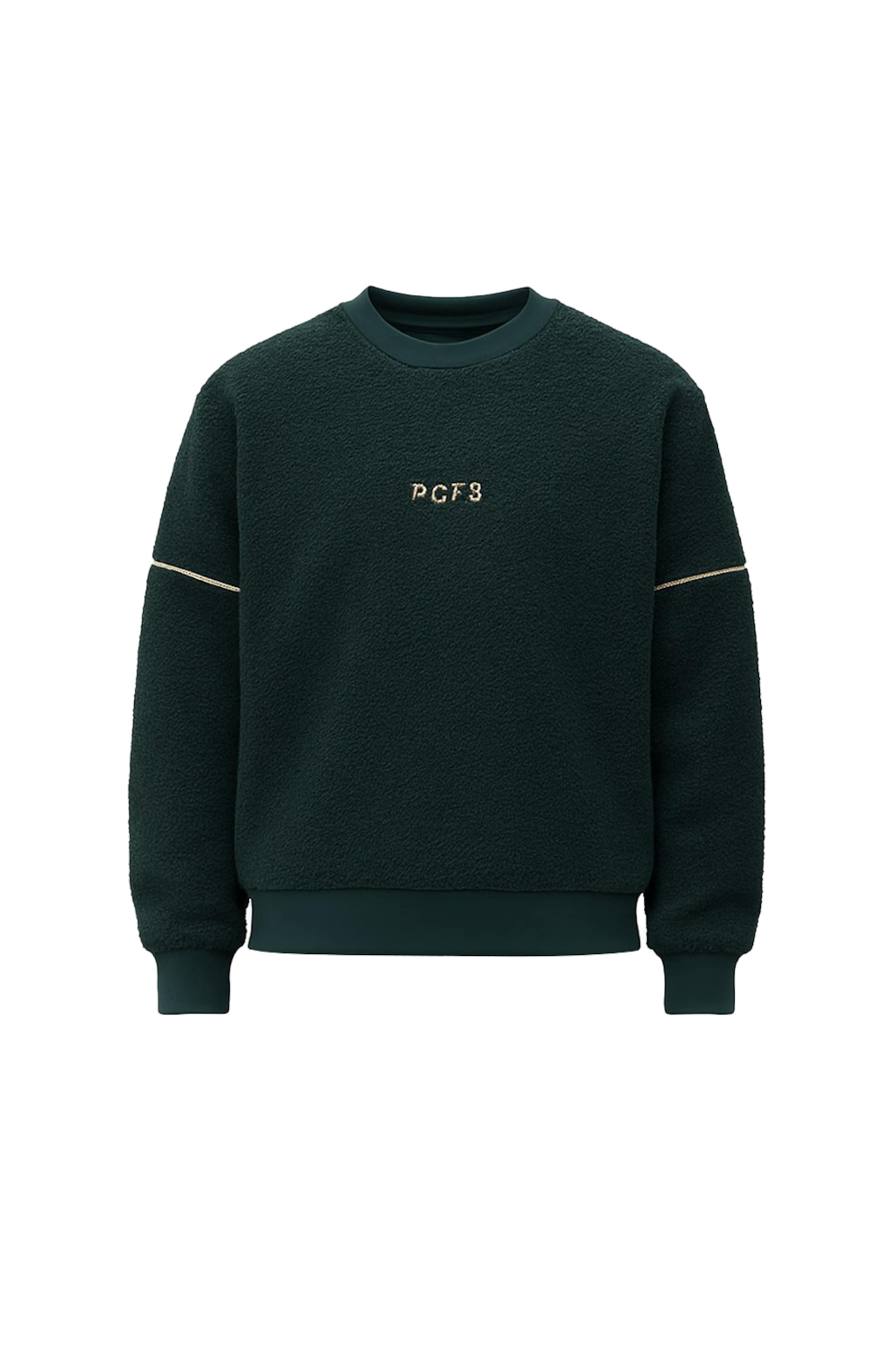 PCFG Sweatshirt in Grün: Vorderseite