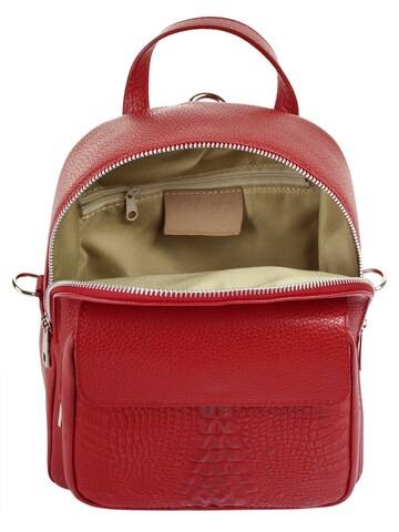 Cluty Backpack in Red
