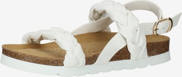 GEOX Strap Sandals in White: front