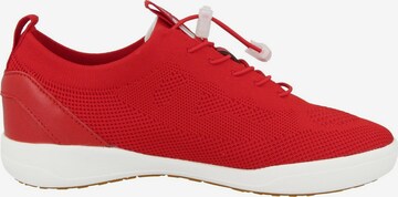JOSEF SEIBEL Sneakers 'Sina 65' in Red