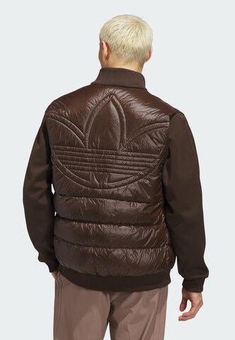 Veste outdoor ADIDAS PERFORMANCE en marron