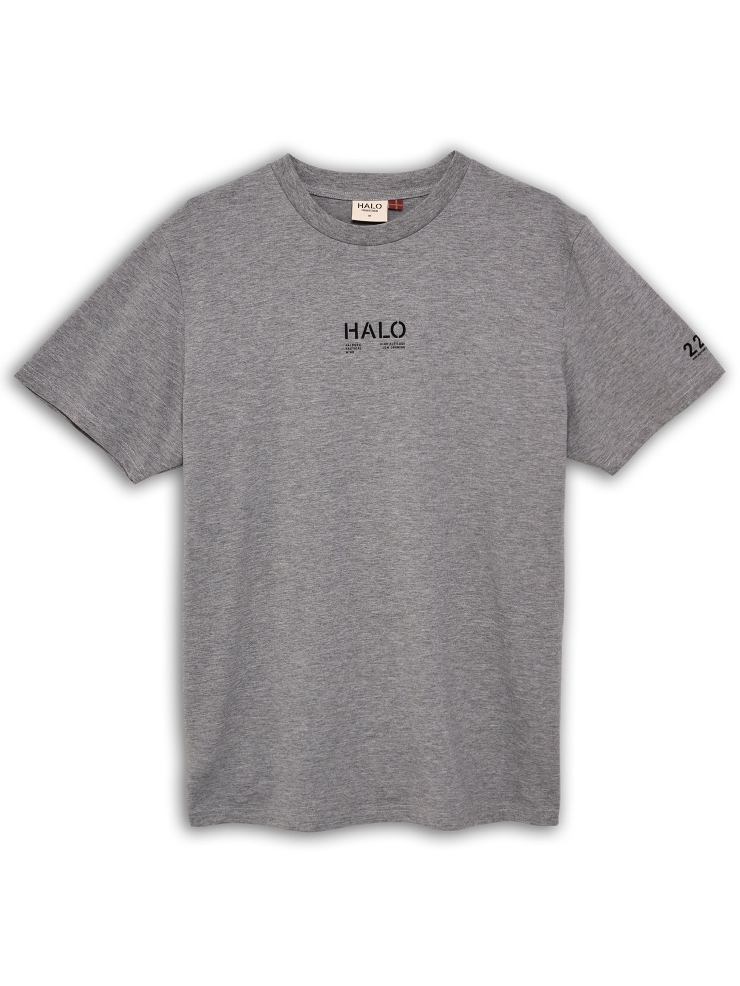 HALO Shirt in Grijs: voorkant